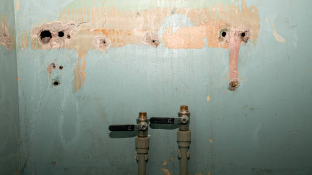 Best Sewage cleanup and water damage restoration  in Tiltonsville, OH