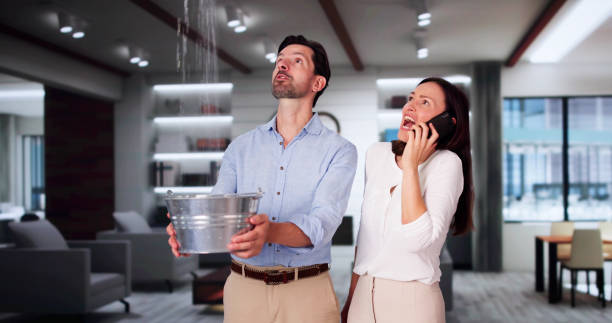 Best Water damage restoration near me  in Tiltonsville, OH