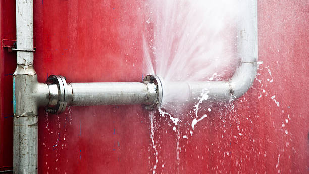 Best Basement water damage restoration  in Tiltonsville, OH